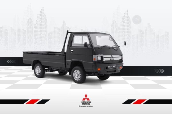L300